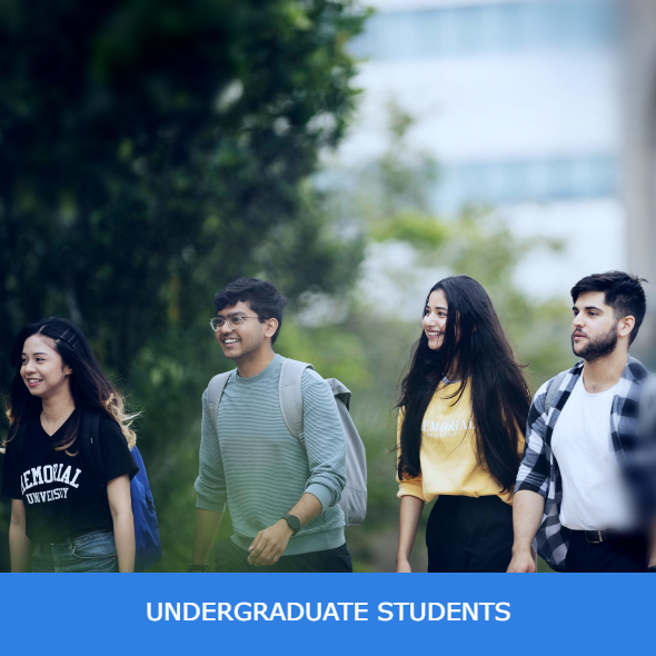Undergraduate Students